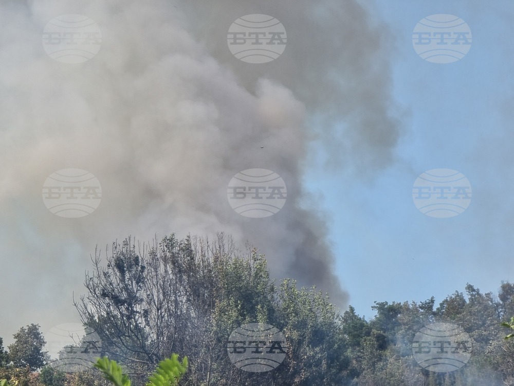 Голям горски пожар гори в източната част на гръцката област Атика; десетки граждани са евакуирани