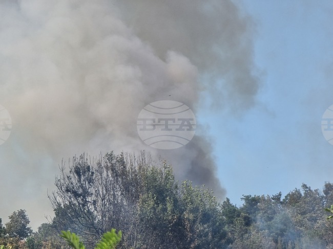 Голям горски пожар гори в източната част на гръцката област Атика; десетки граждани са евакуирани