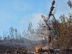 Село Звезделина - смесен горски масив - пожар