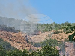 Село Звезделина - смесен горски масив - пожар