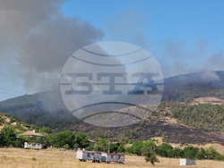 Село Звезделина - смесен горски масив - пожар