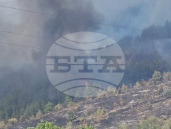 Село Звезделина - смесен горски масив - пожар