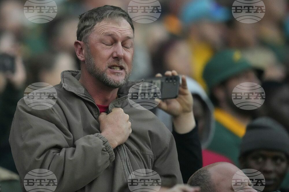 South Africa Italy Rugby