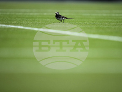 Britain Wimbledon Tennis
