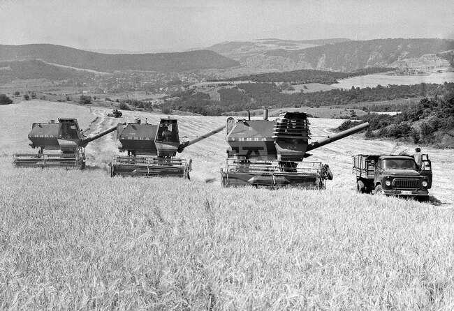 Жътва в кюстендилското село Невестино