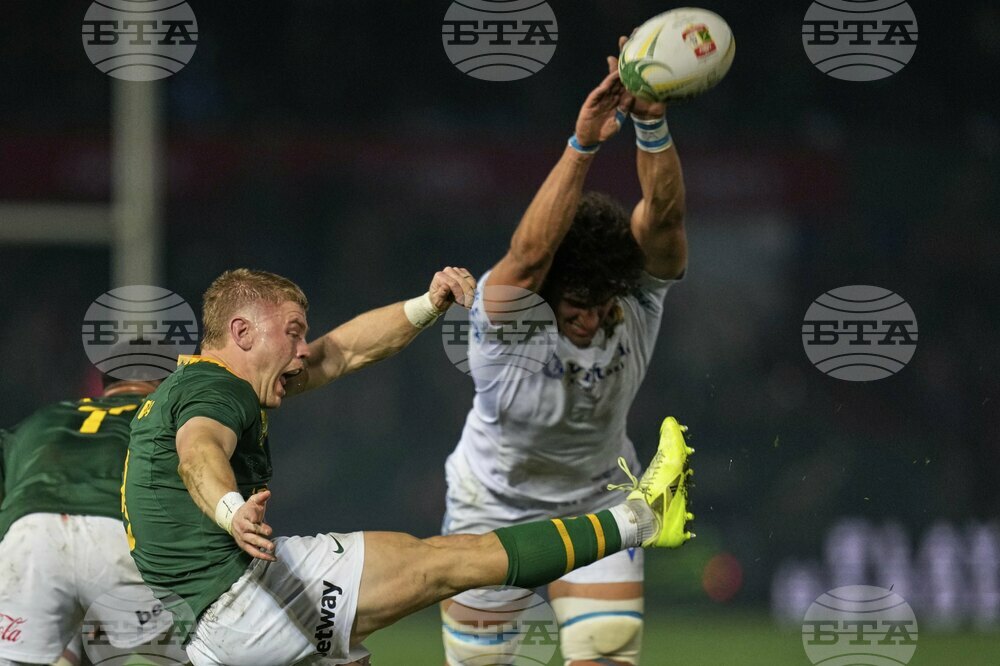 South Africa Italy Rugby