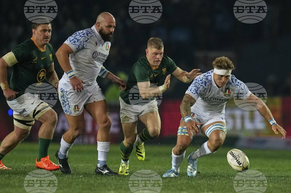 South Africa Italy Rugby