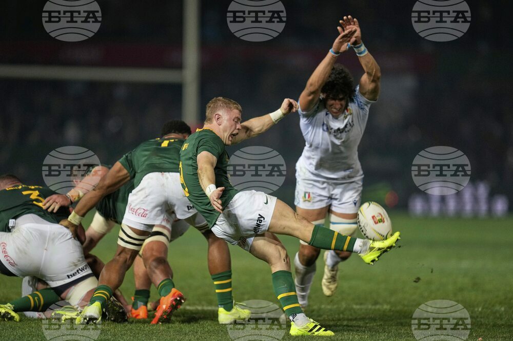 South Africa Italy Rugby
