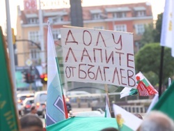 Гражданска инициатива „Будители“ - протест в защита на българския лев