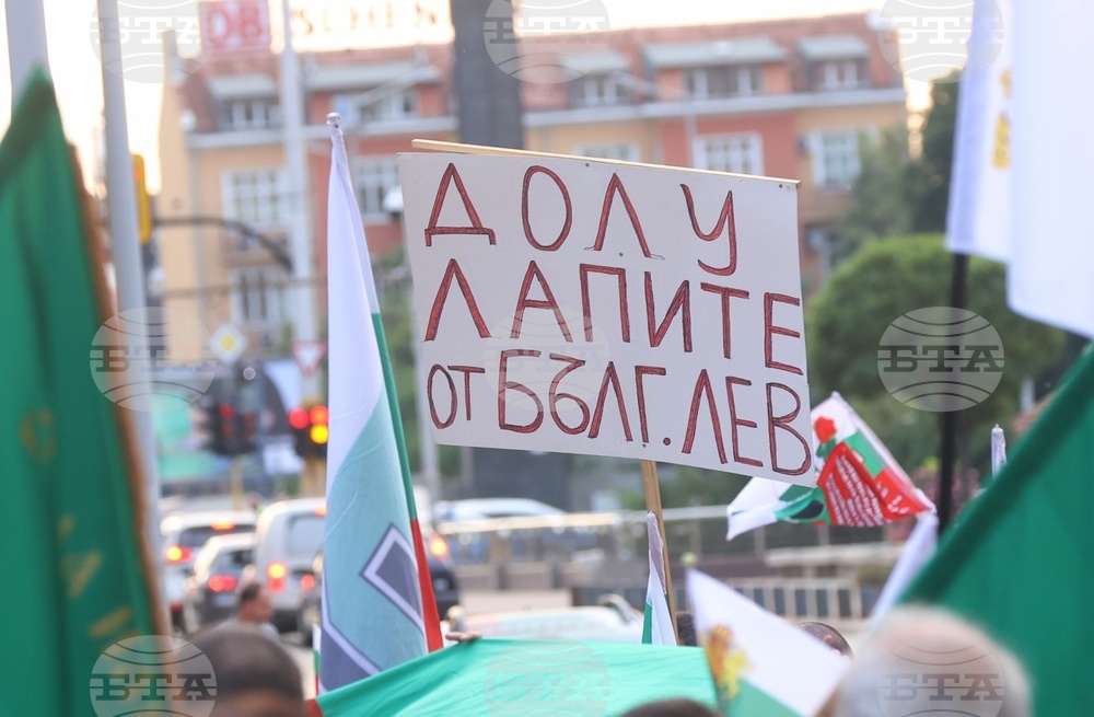 Гражданска инициатива „Будители“ - протест в защита на българския лев
