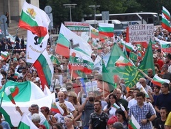 Гражданска инициатива „Будители“ - протест в защита на българския лев