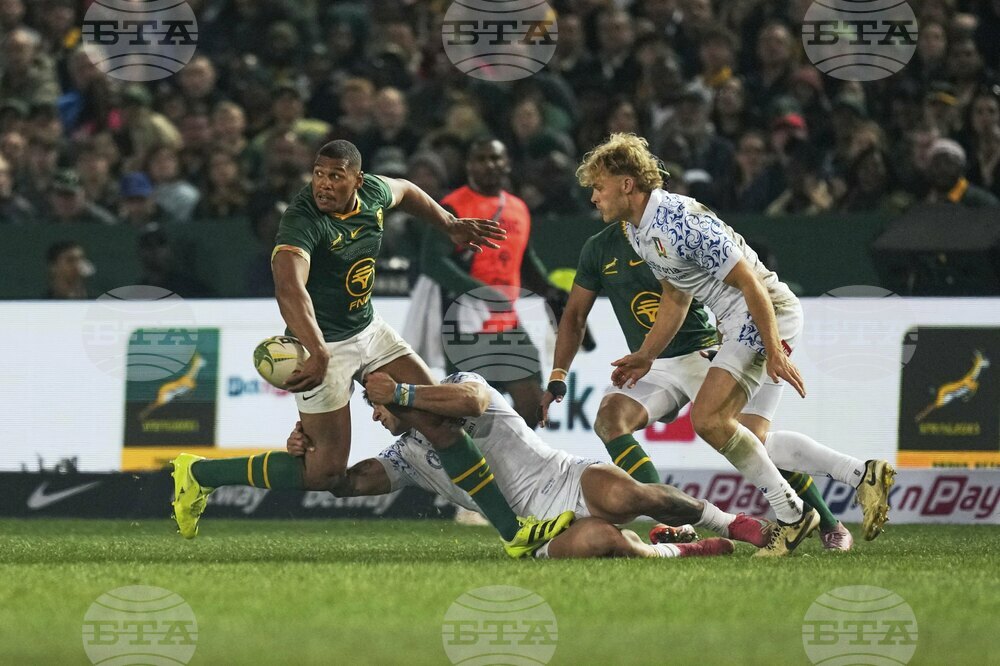 South Africa Italy Rugby