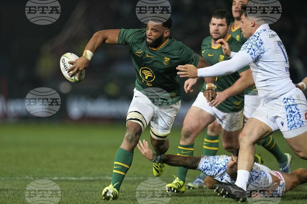South Africa Italy Rugby
