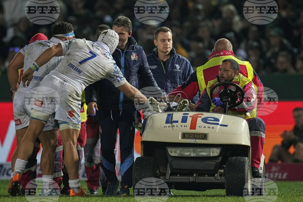 South Africa Italy Rugby