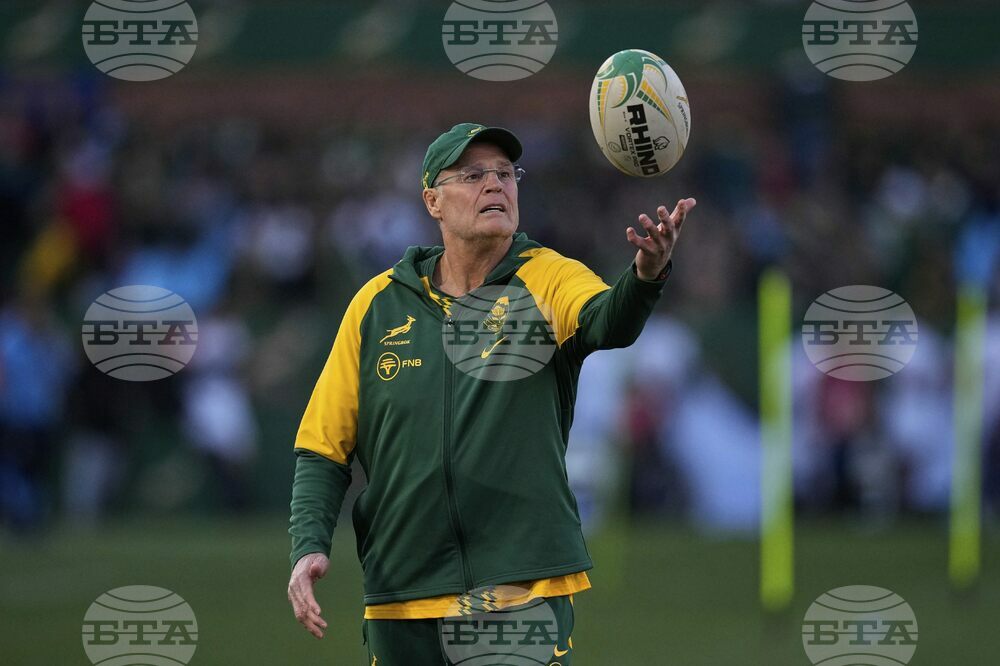 South Africa Italy Rugby
