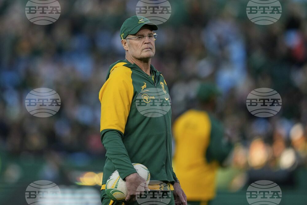 South Africa Italy Rugby
