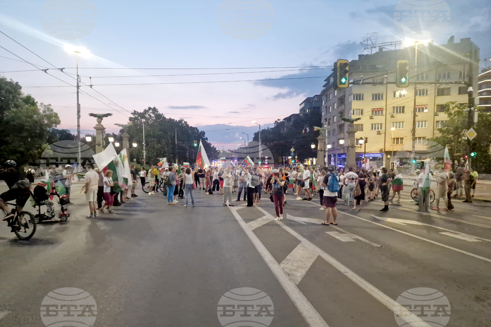 Гражданска инициатива „Будители“ - протест в защита на българския лев