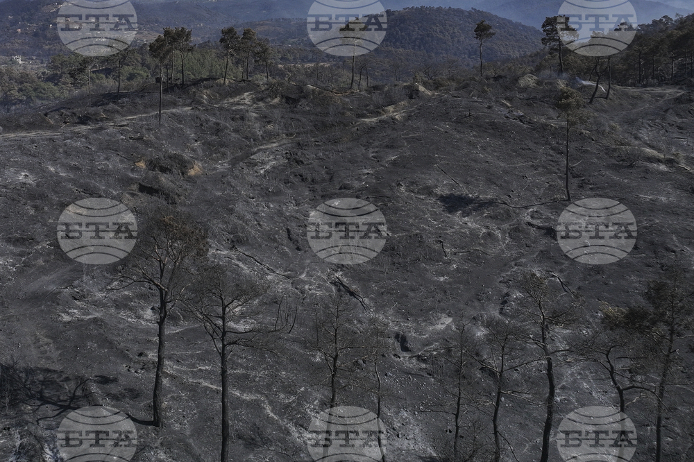 Turkey Syria Wildfires