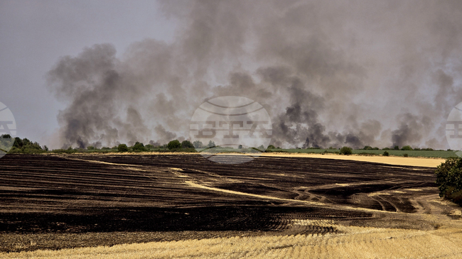 Serbia Allocates EUR 3 Mln in Emergency Aid after Devastating Wildfires