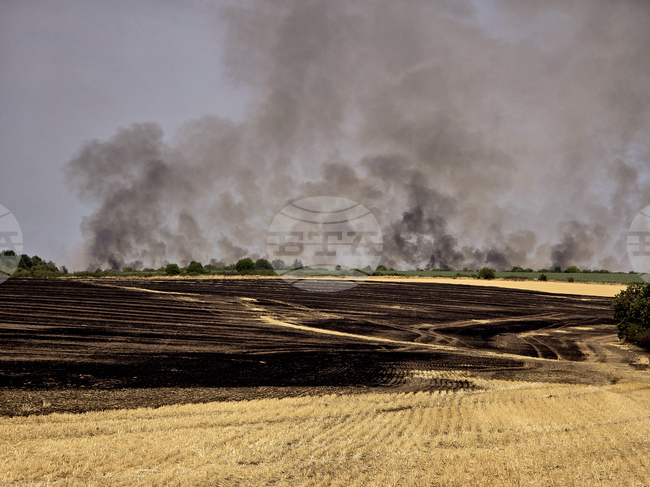 Пожарникарите в област Видин са гасили 19 пожара през почивните дни