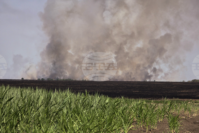 Голям пожар избухна в близост до истанбулския район Бююкчекмедже 