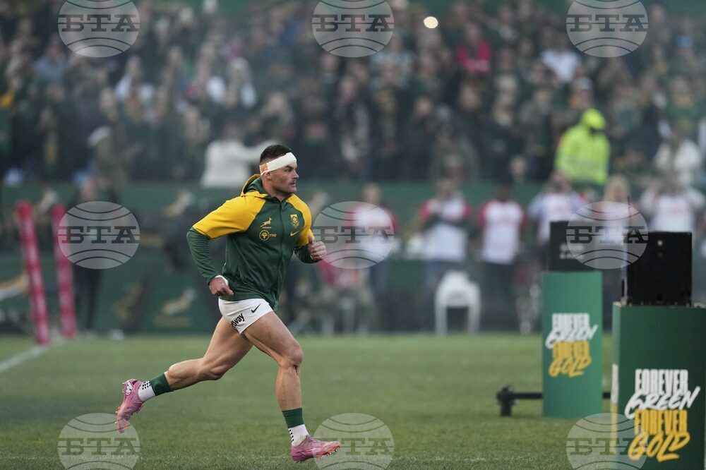 South Africa Italy Rugby