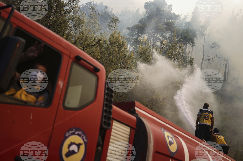 Syria Wildfires
