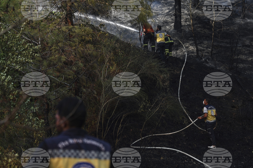 Syria Wildfires