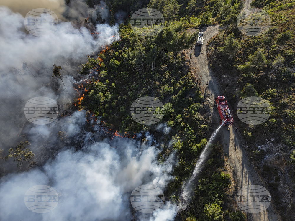 Syria Wildfires
