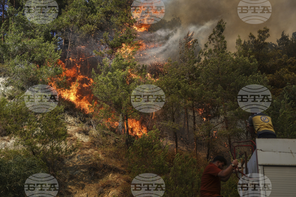 Syria Wildfires