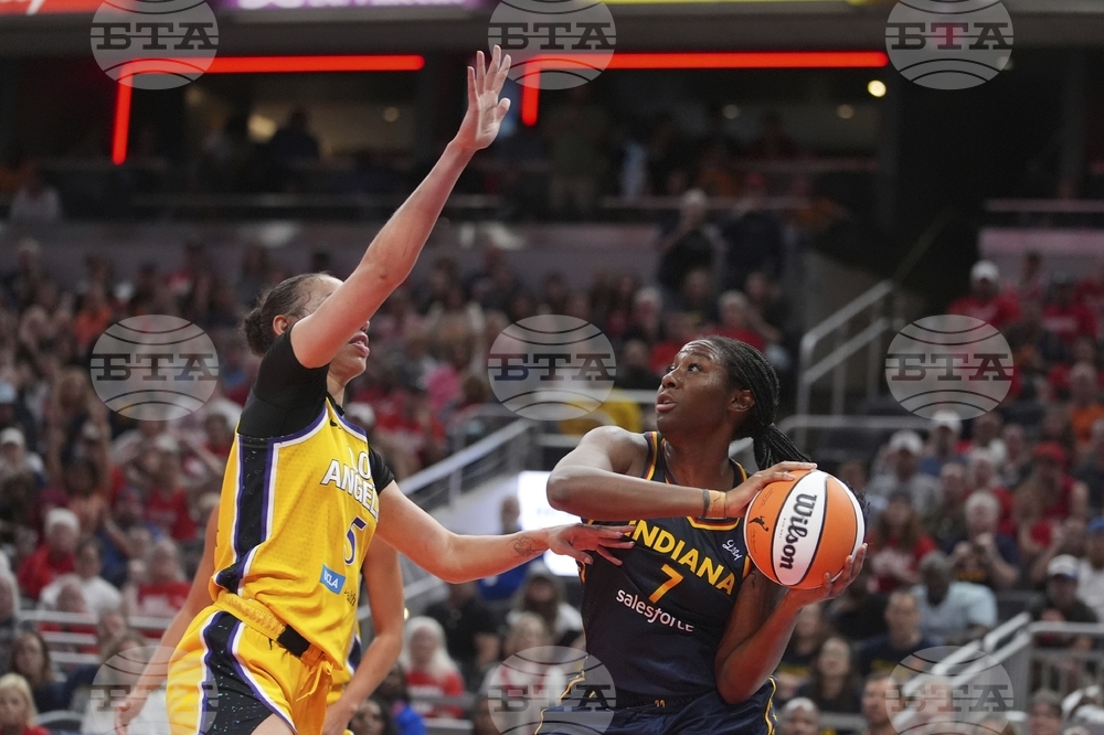 Sparks Fever Basketball
