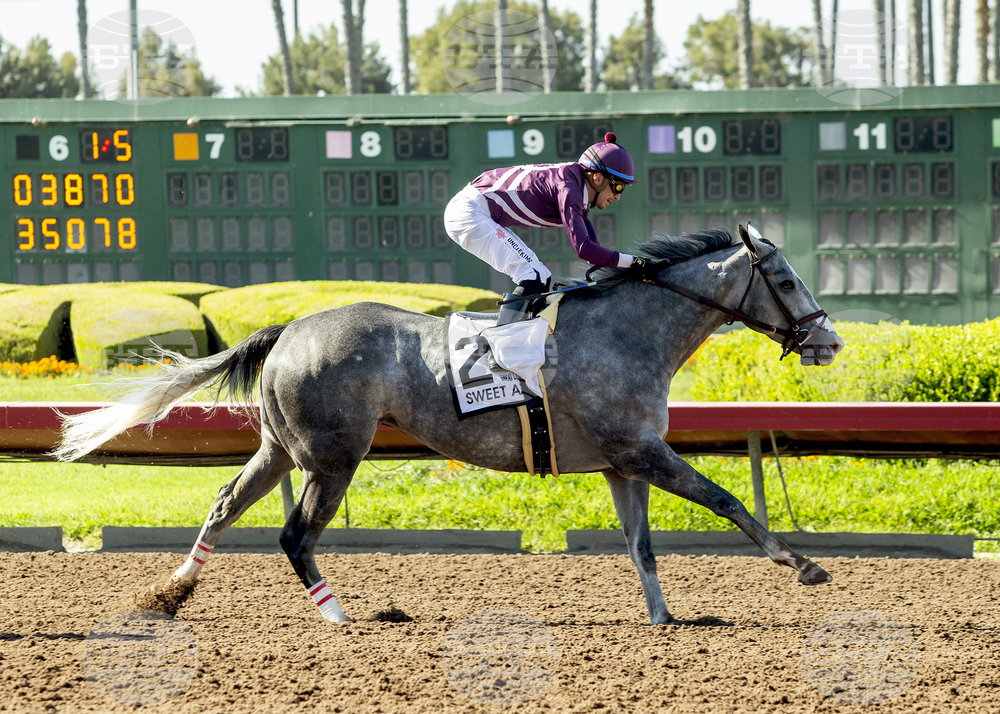 Los Alamitos Horse Racing