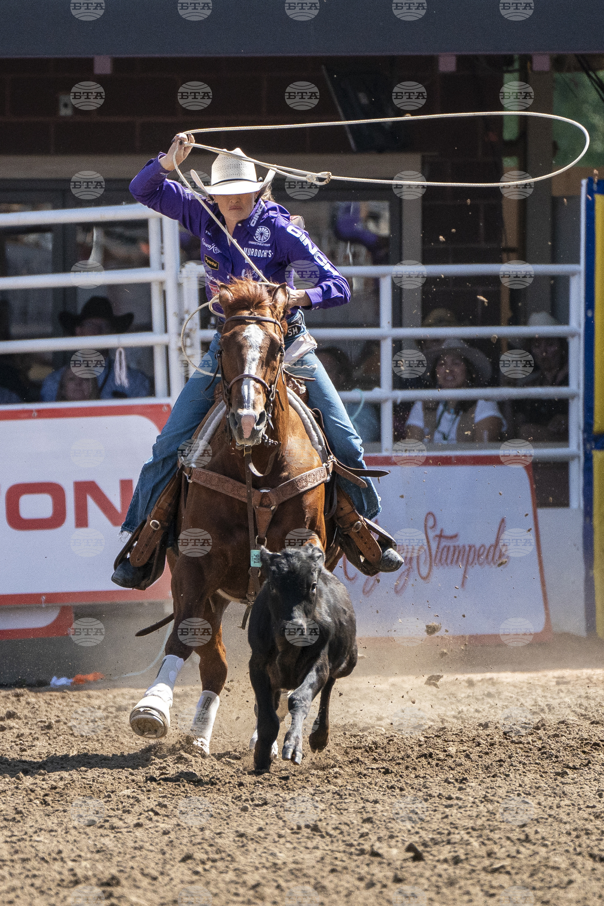 2025 Calgary Stampede