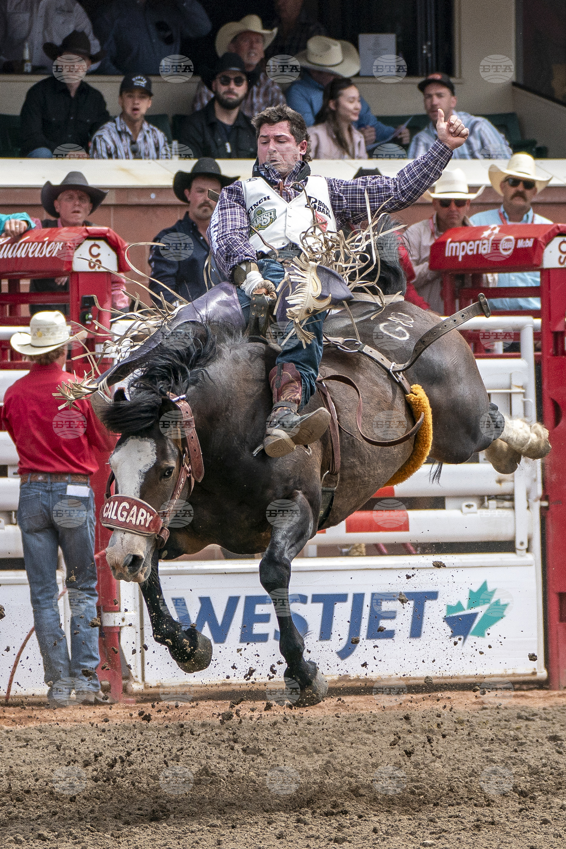 2025 Calgary Stampede