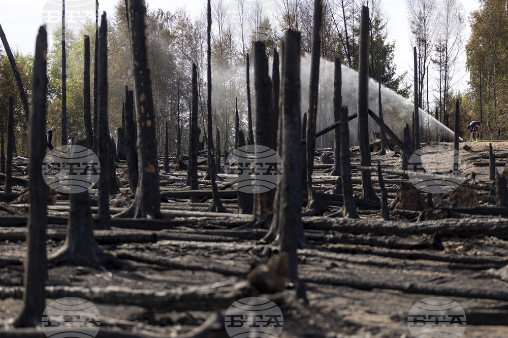 Germany Fire