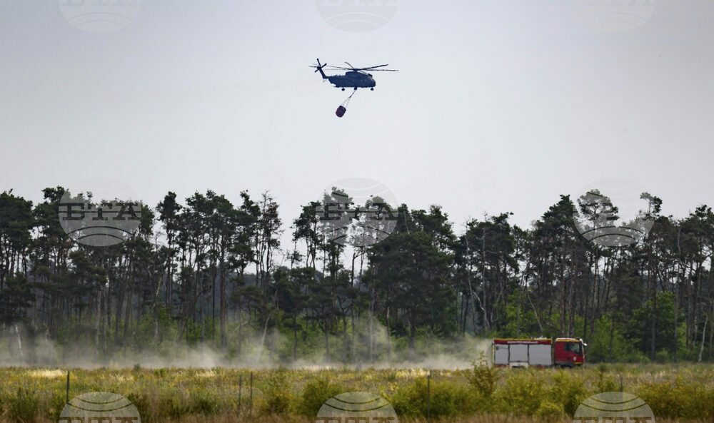 Germany Fire