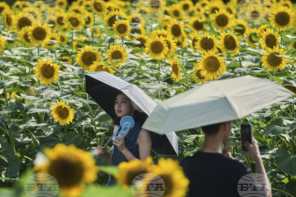 China Daily Lile Weather
