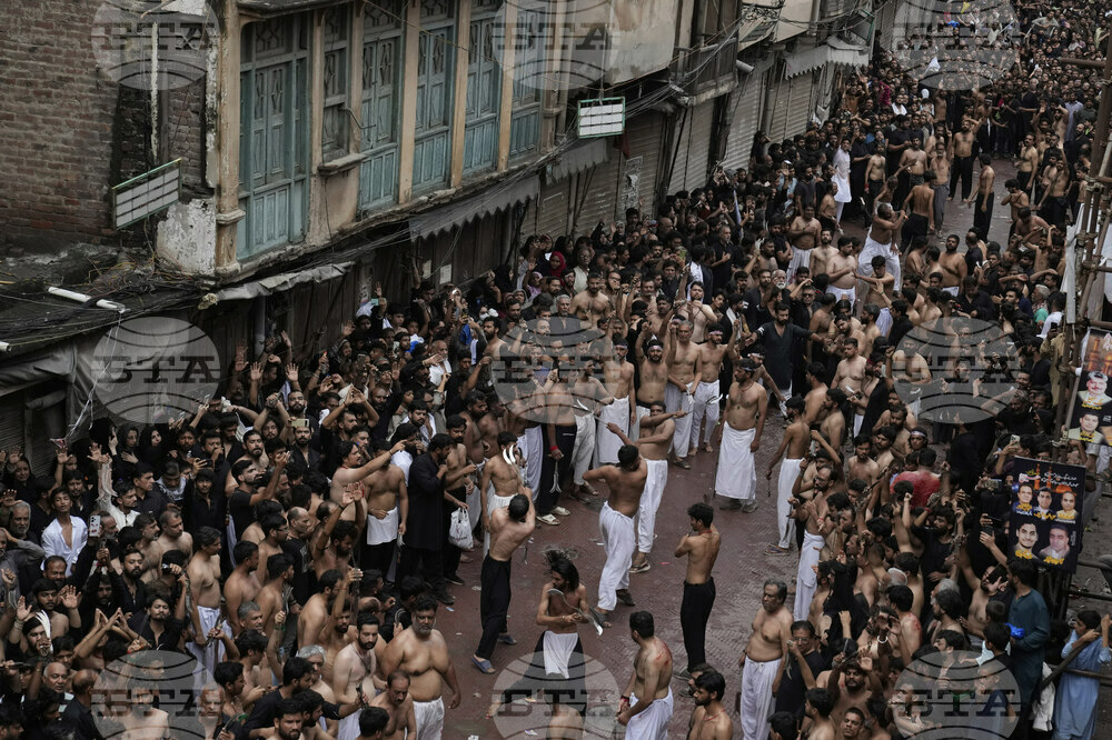 Pakistan Ashoura