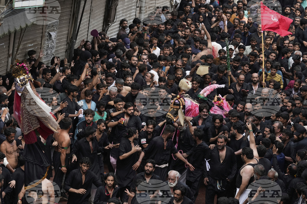 Pakistan Ashoura
