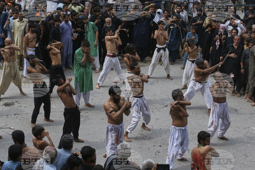 Pakistan Ashoura