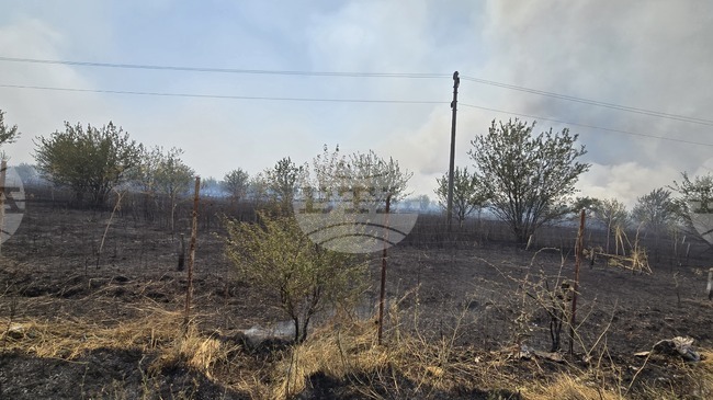 Пожарникари спасиха 50 декара овощна градина в сливенското село Скобелево