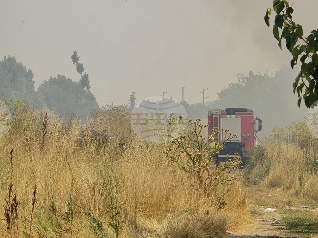Близо 900 декара е обхванал пожарът, пламнал в неделя край сливенския квартал "Речица"
