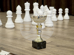 Белоградчик - трансграничен турнир - шах