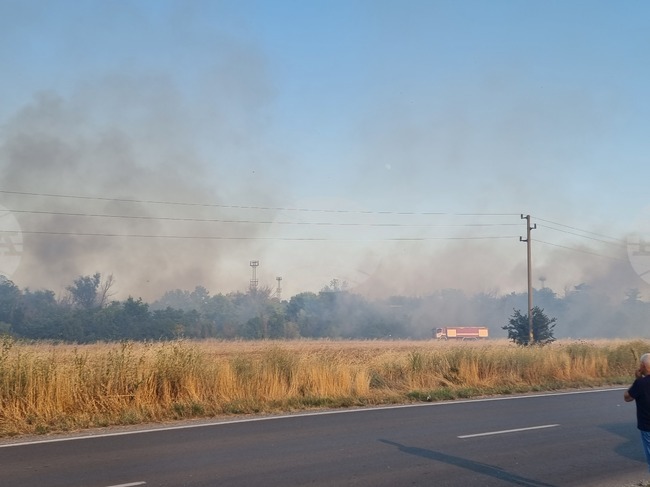 Сухи треви и храсти горят до източния околовръстен път на Ямбол