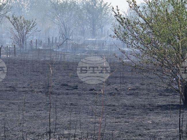 Девет противопожарни екипа са участвали в гасенето на пожара в района на сливенския квартал "Речица"