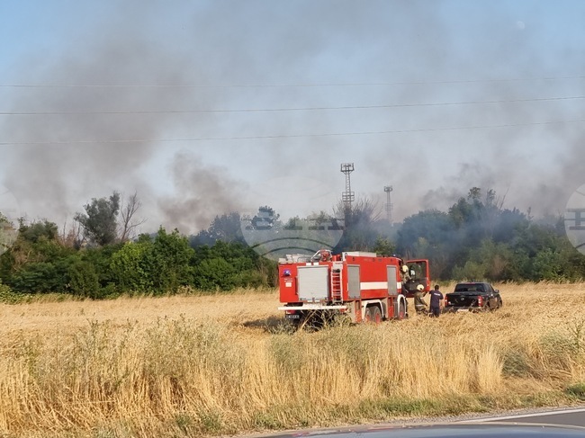 Седем души са пострадали при пожари в страната през изминалото денонощие, съобщиха от пожарната
