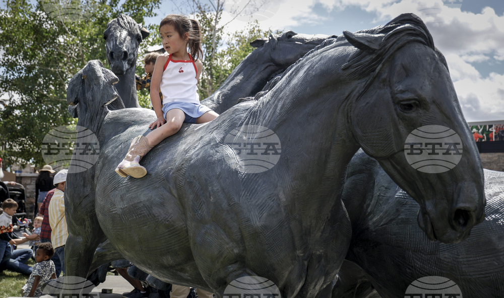 Calgary Stampede Rodeo