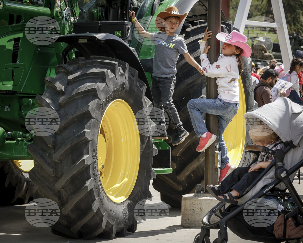 Calgary Stampede Rodeo