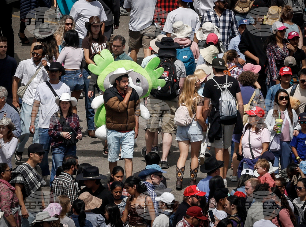 Calgary Stampede Rodeo