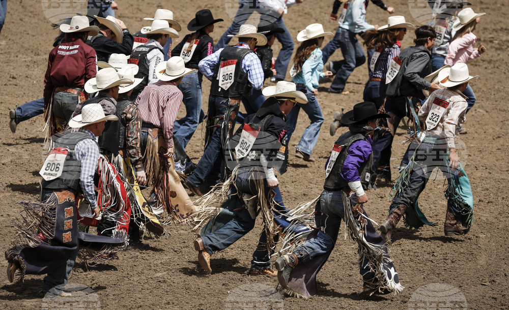 Calgary Stampede Rodeo